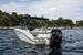 Sea Ray SPX 210 Outboard BILD 2