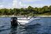 Sea Ray SPX 210 Outboard BILD 6