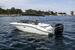 Sea Ray SPX 210 Outboard BILD 7