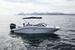 Sea Ray SPX 210 Outboard BILD 9