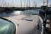 Monterey 302 Cruiser BILD 8