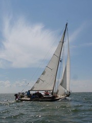 Custom built/Eigenbau One Off Classic Sailing BILD 1