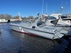Avanti Ocean Racer 41 Powerboat Snelle Neeltje BILD 4