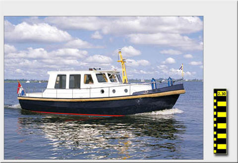 Motorboot Pamvlet 900 OK Bild 1