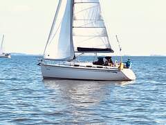 Bavaria 30 Cruiser - Athena (sailing yacht)