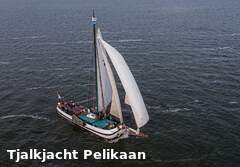 Tjalkjacht - Pelikaan (Plattbodenschiff)